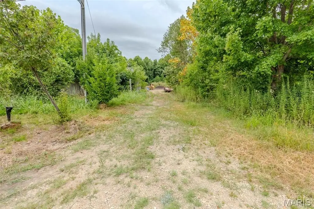 Picture 25