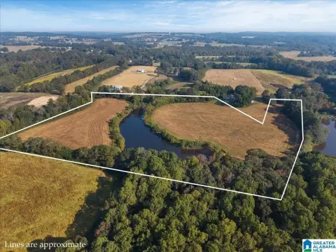 Horton, AL: 18 Acre Meadow