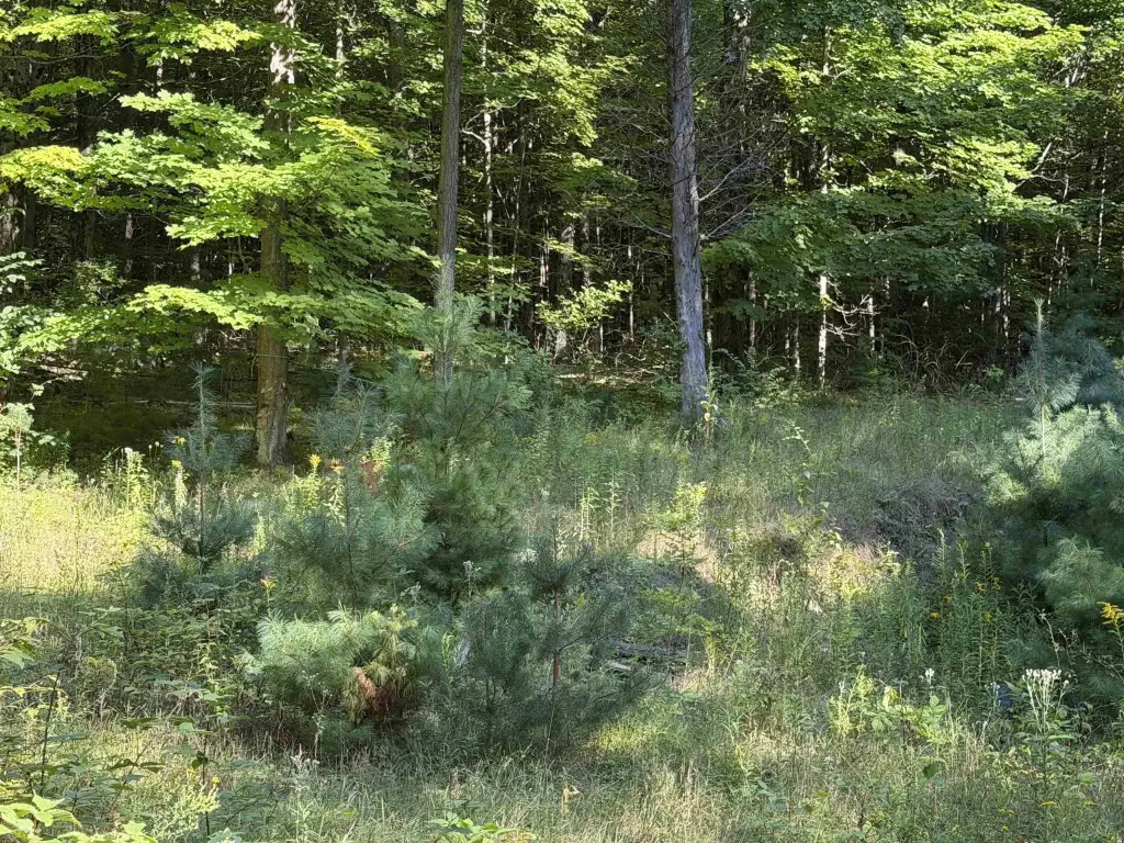 Picture 10