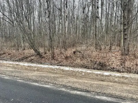 Versatile Land in Riverview Estates