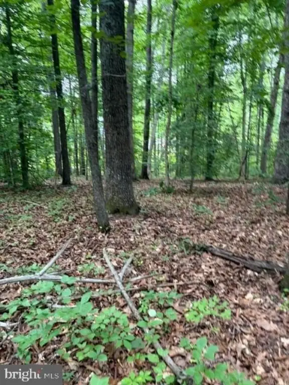 Picture 10