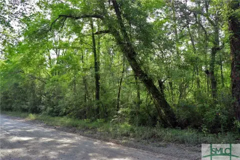 Wooded Lot in Bloomingdale, GA