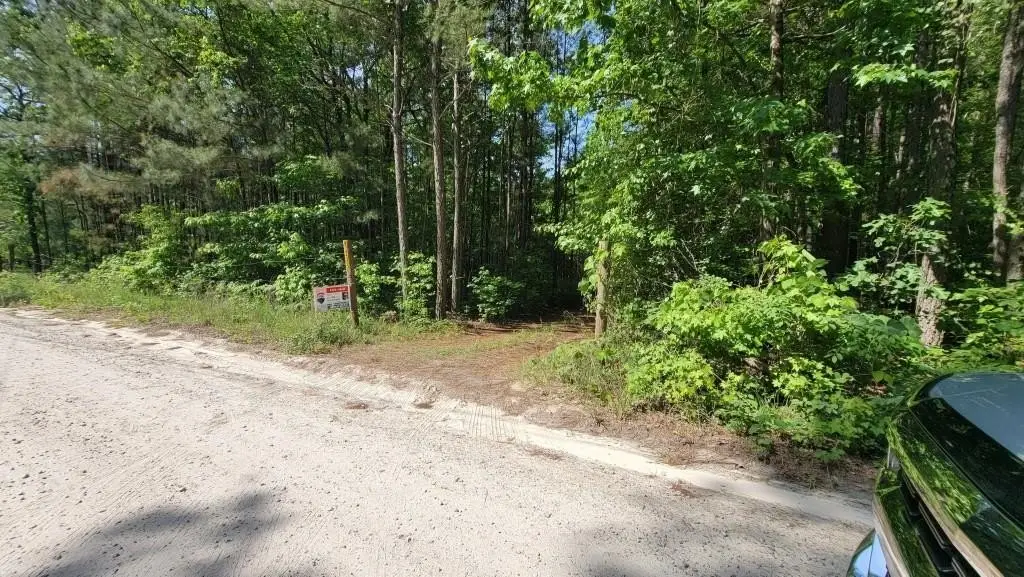 Picture 9