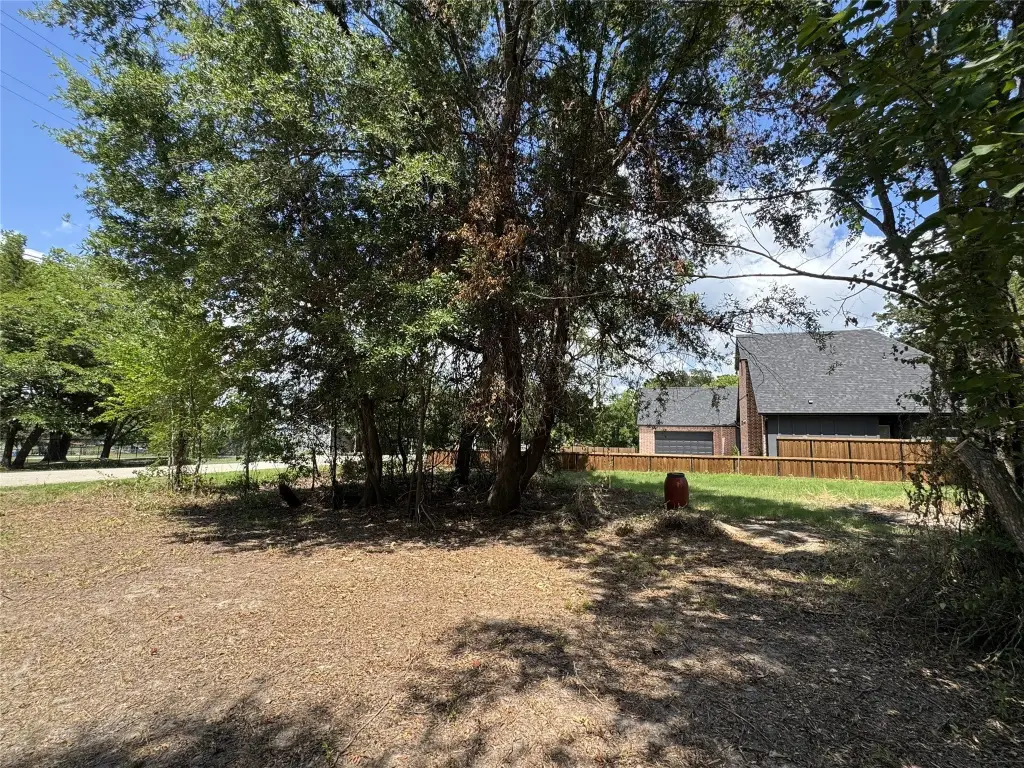 Picture 9