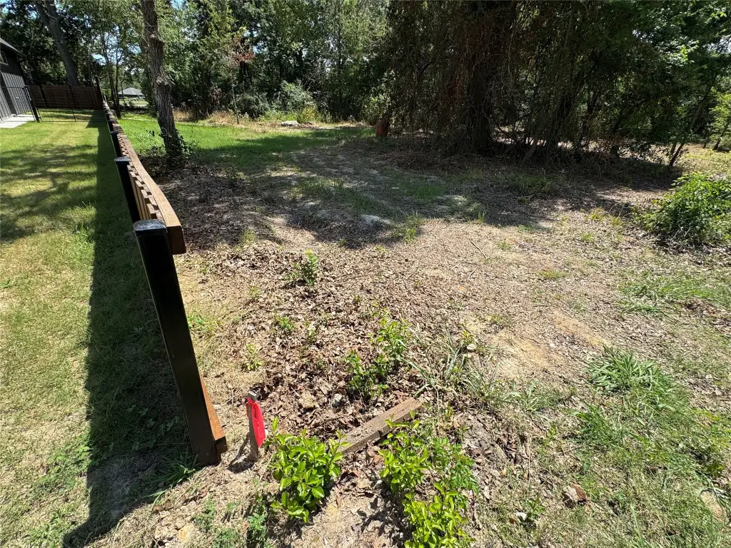Picture 13