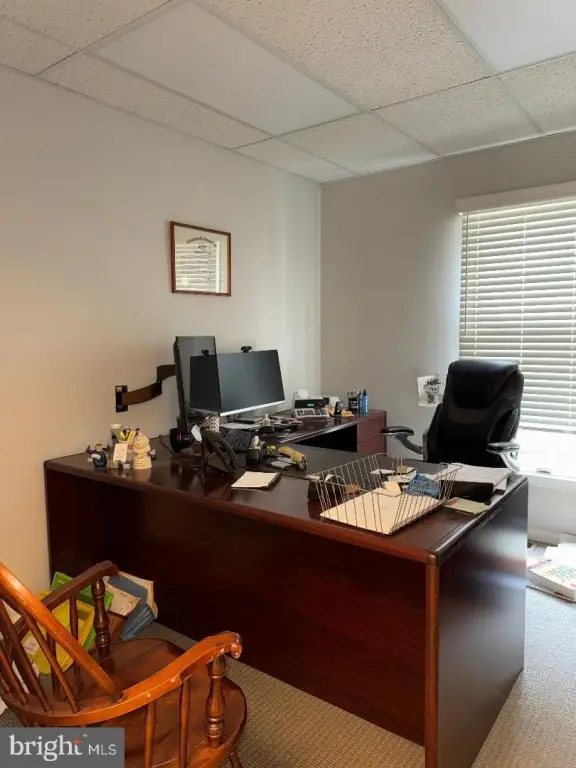 Picture 23
