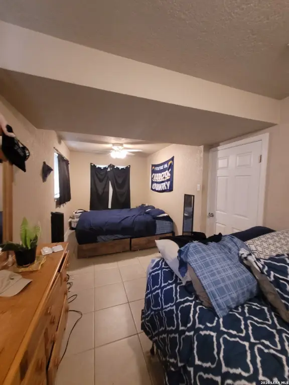 Picture 11