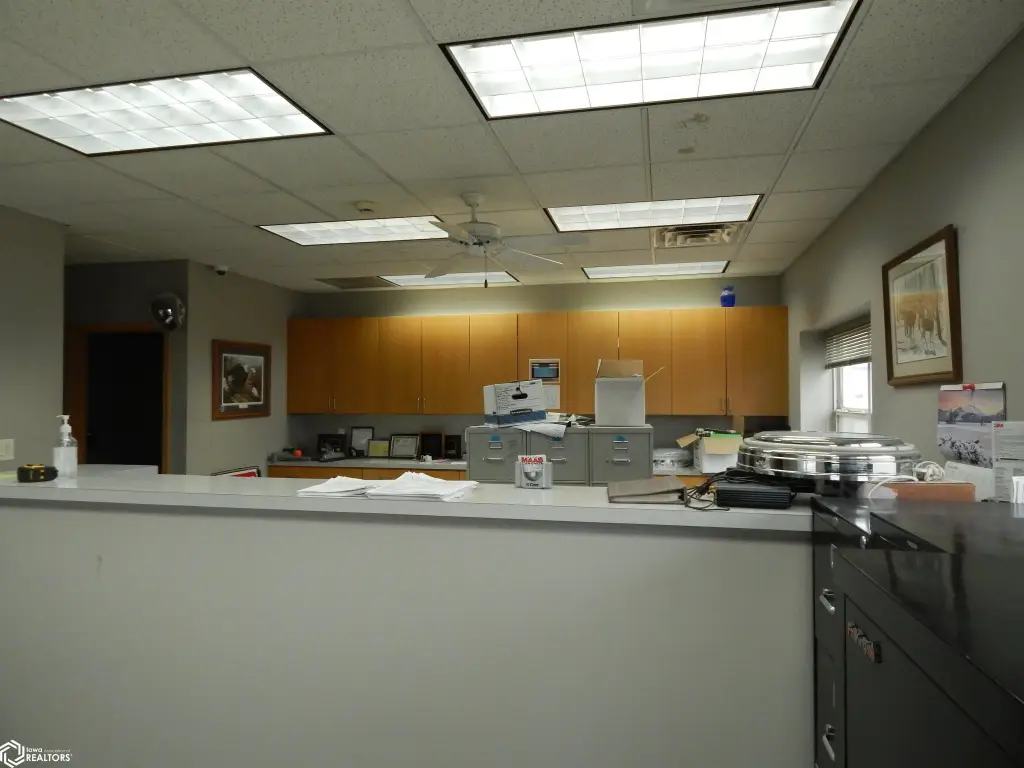 Picture 5