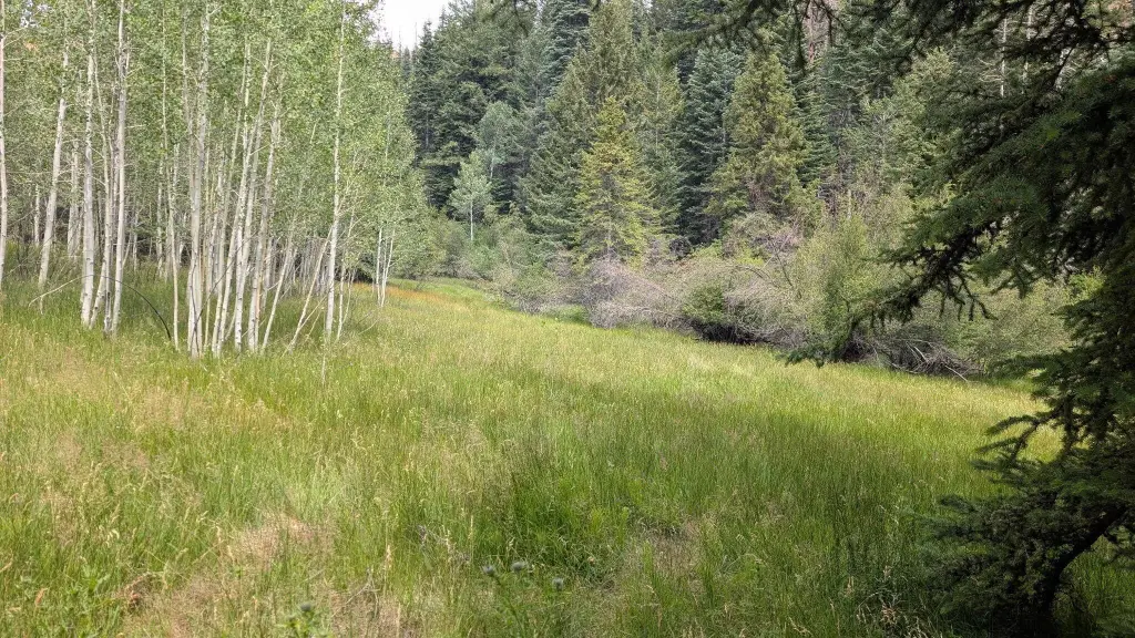 Picture 4