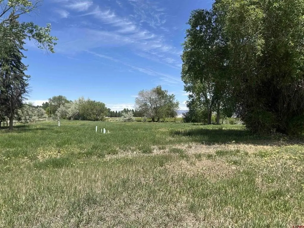 Picture 26
