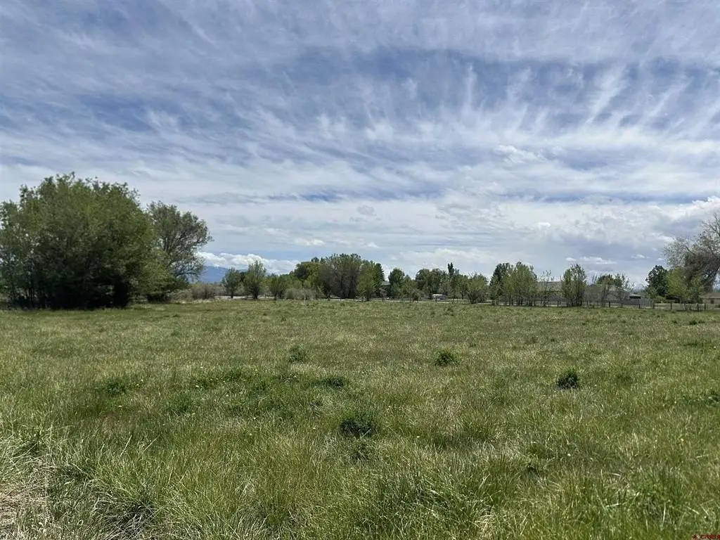 Picture 28