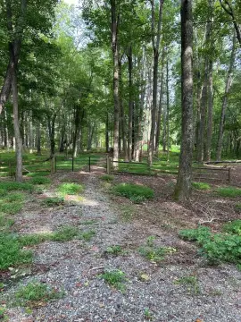 Heathsville Land with Wooded Privacy