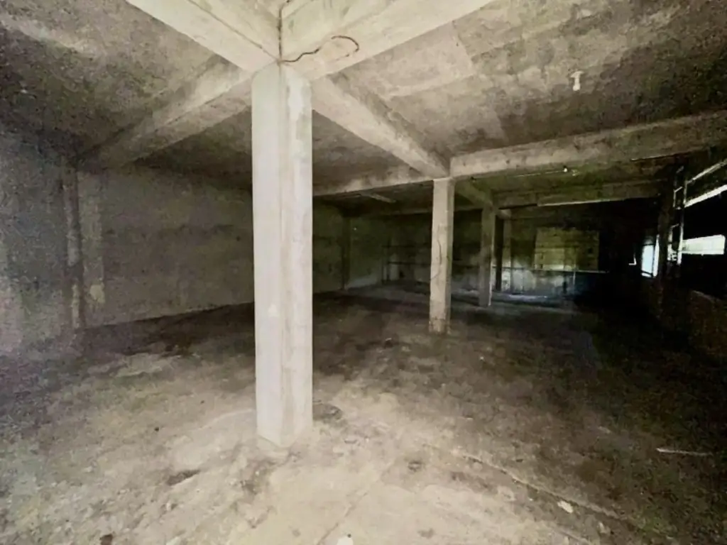 Picture 15