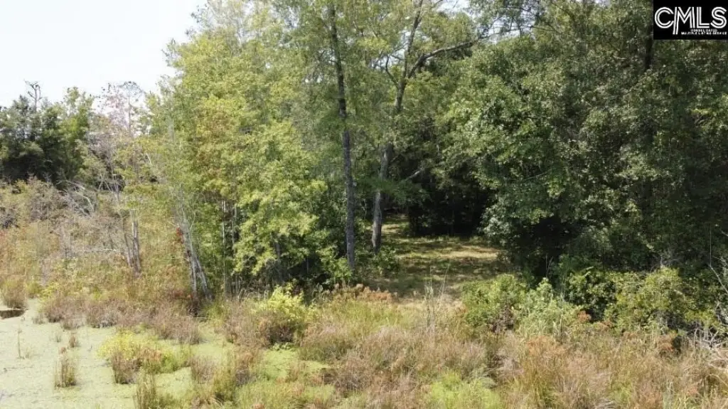 Picture 41