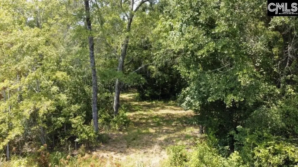 Picture 46