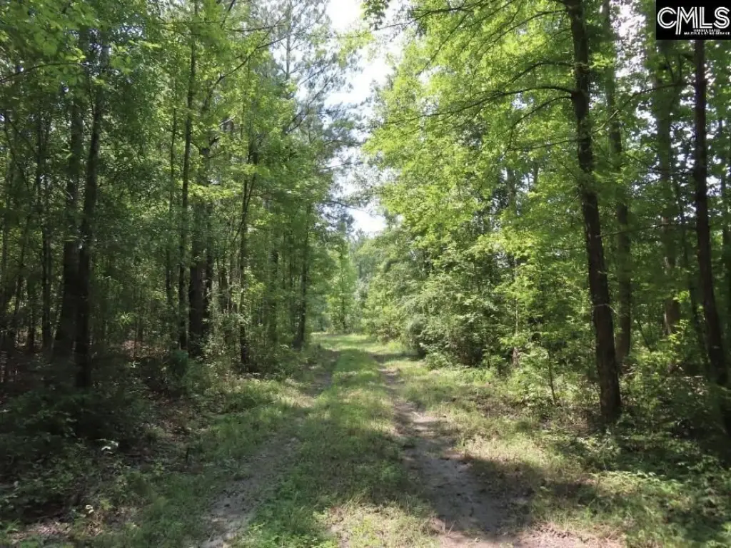 Picture 42