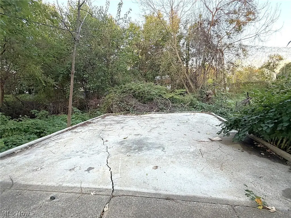 Picture 39