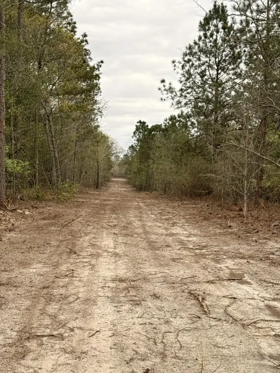 Picture 8