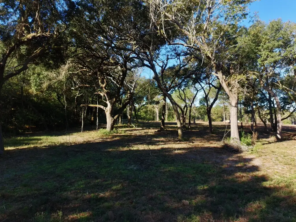 Picture 18