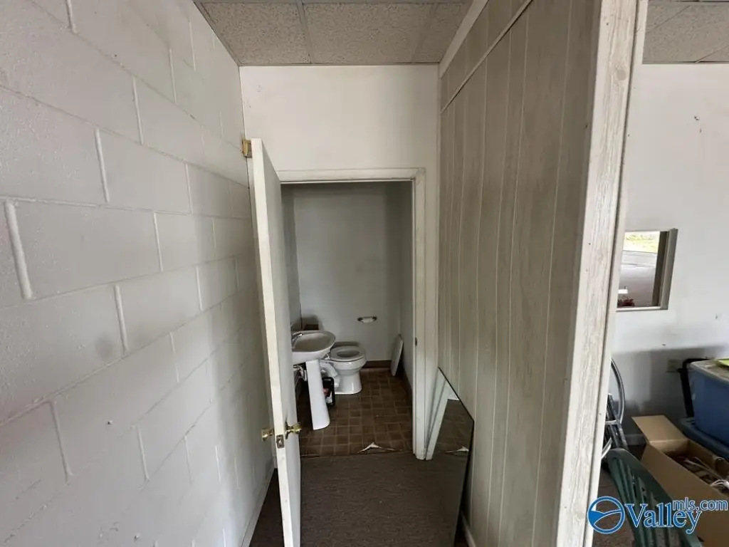 Picture 28