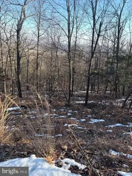 Half-Acre Lot in Haymarket, VA