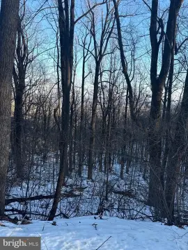 Residential Land in Haymarket, Virginia