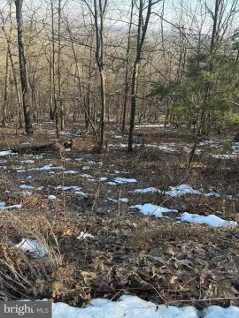 Residential Land in Haymarket, VA