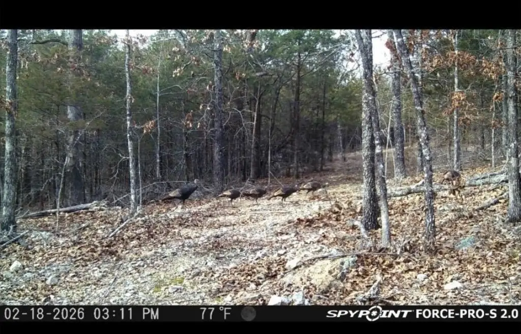 Picture 17