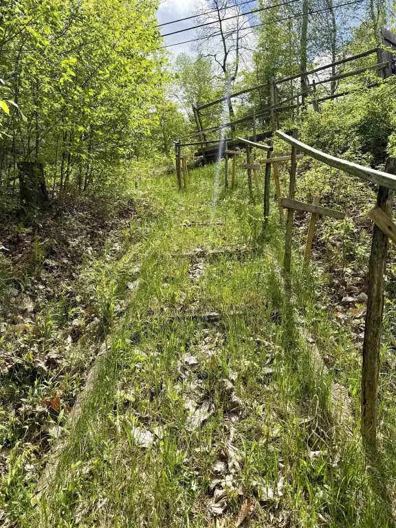 Picture 7