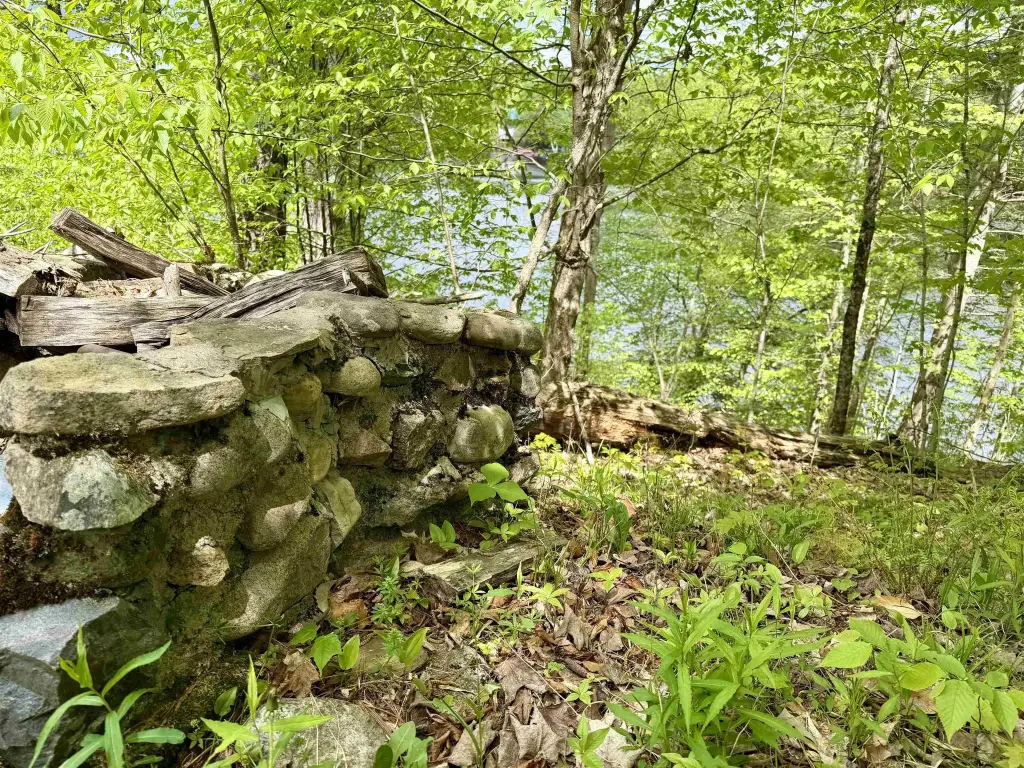 Picture 5