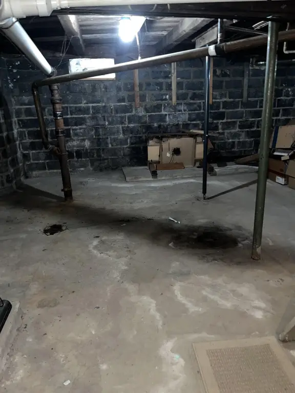 Picture 21