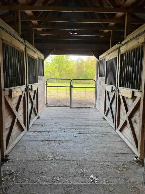Picture 11
