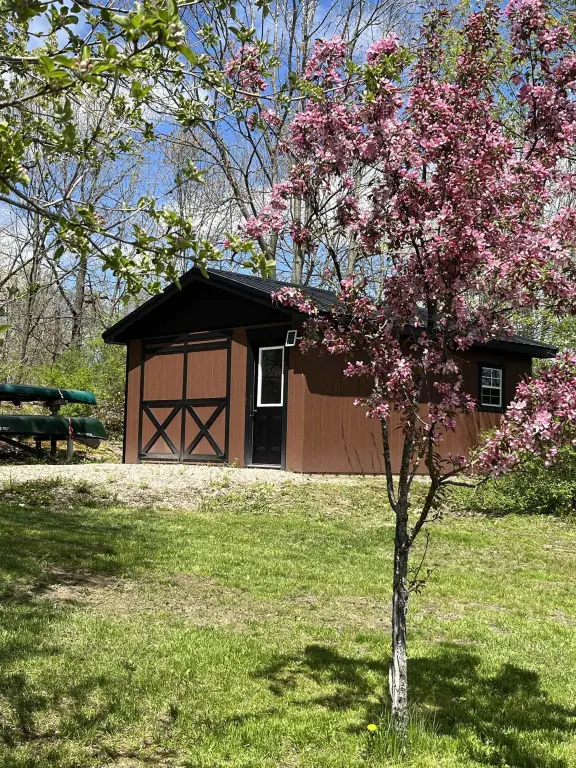 Picture 3