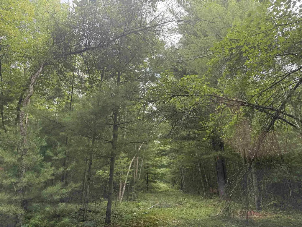 Picture 25