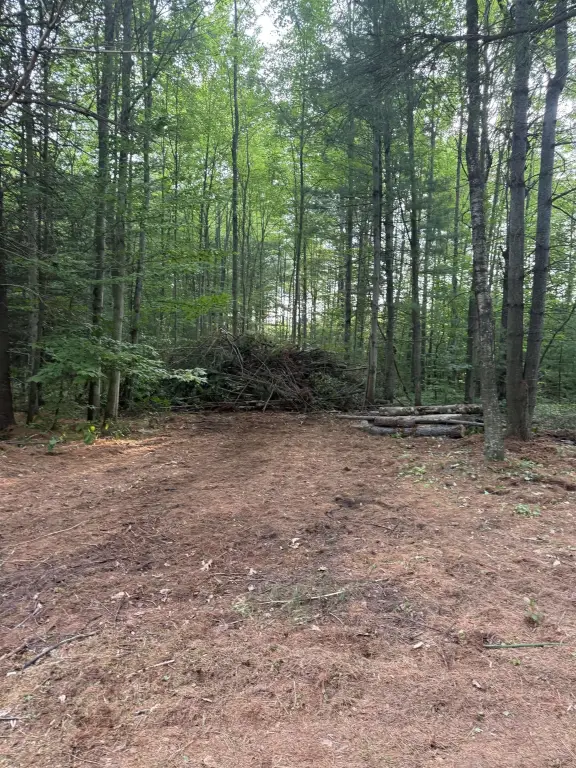 Picture 15