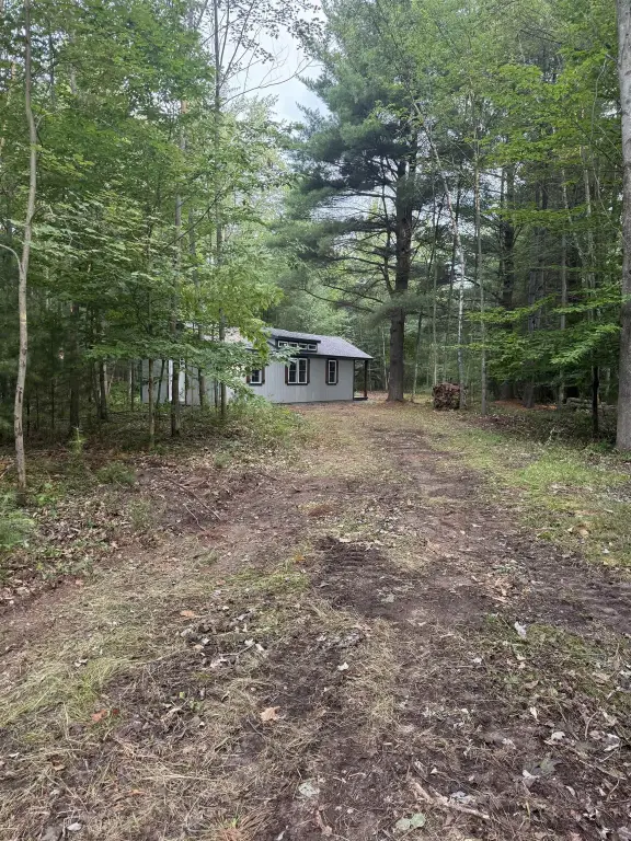 Picture 4