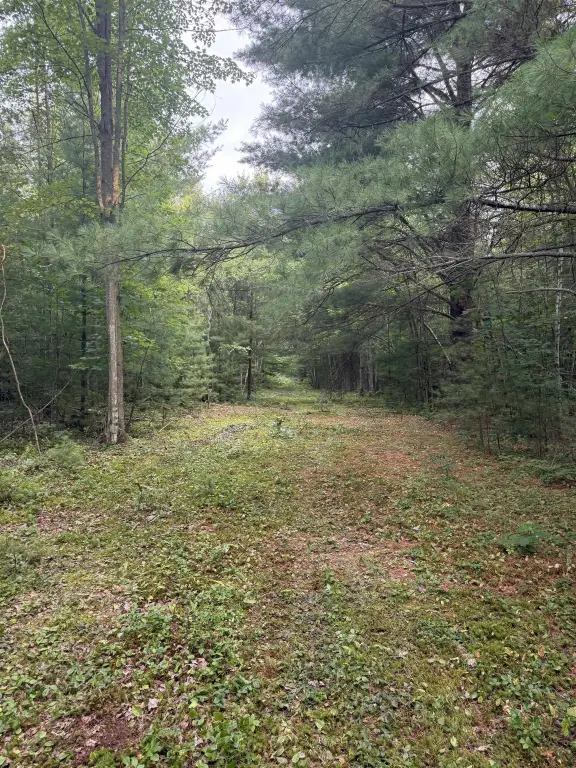 Picture 19