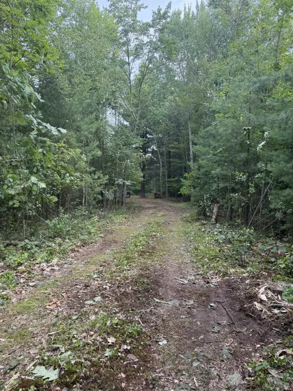 Picture 3