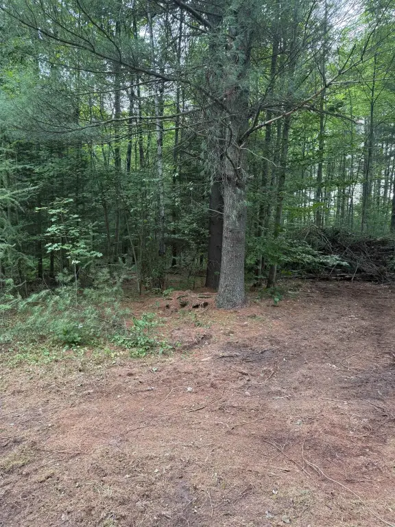 Picture 20