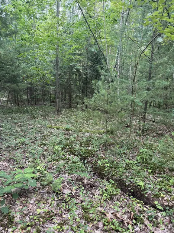 Picture 17