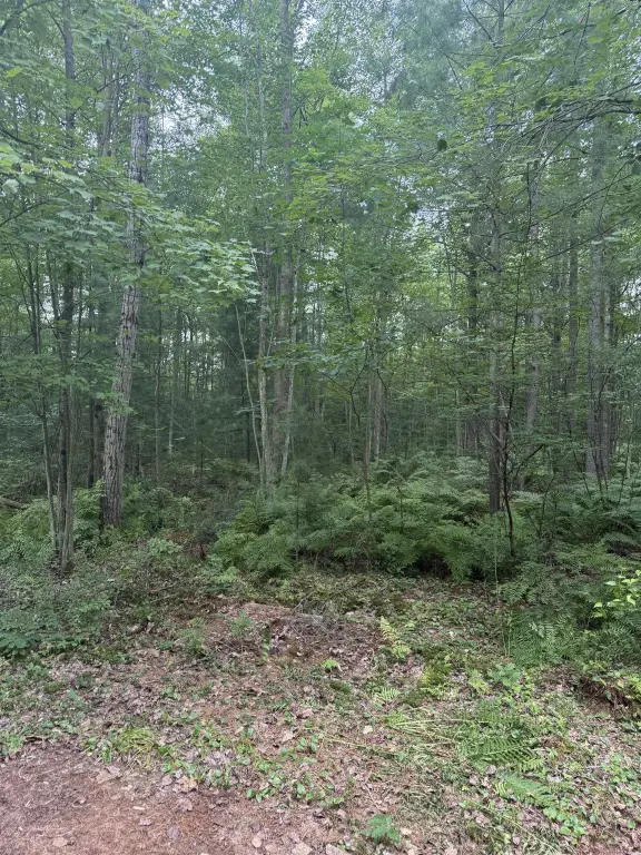 Picture 22