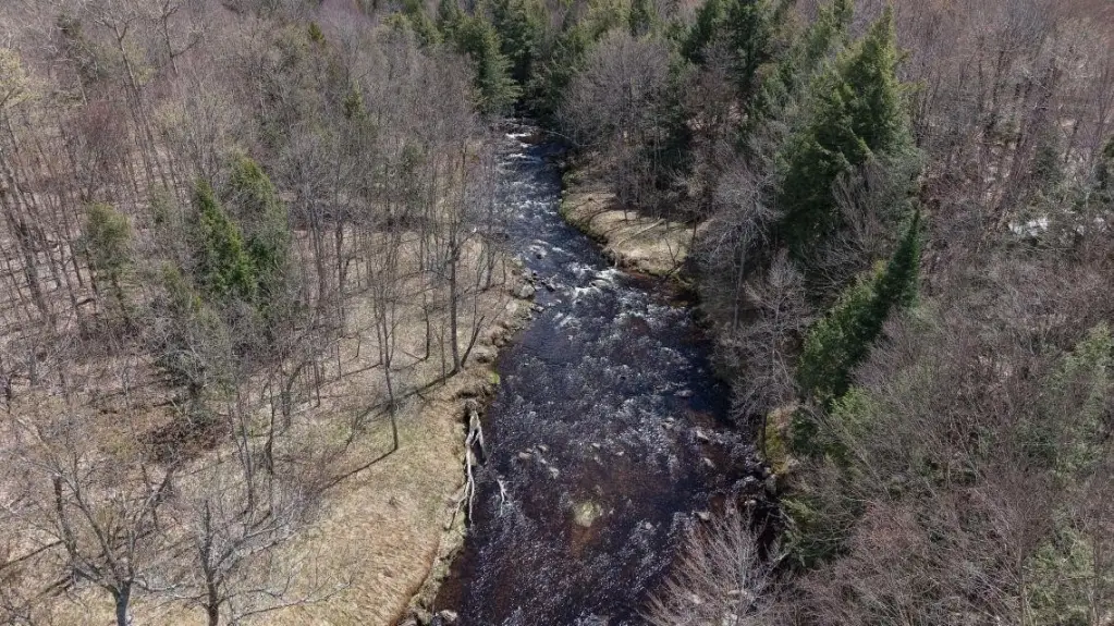 Picture 10