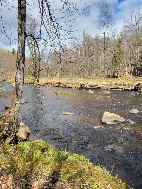 Picture 19