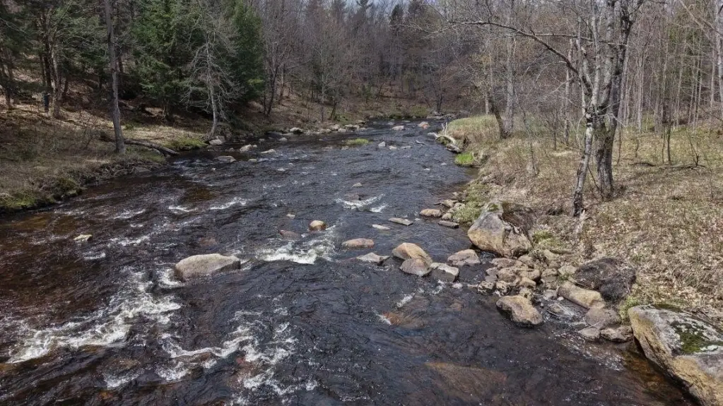 Picture 6