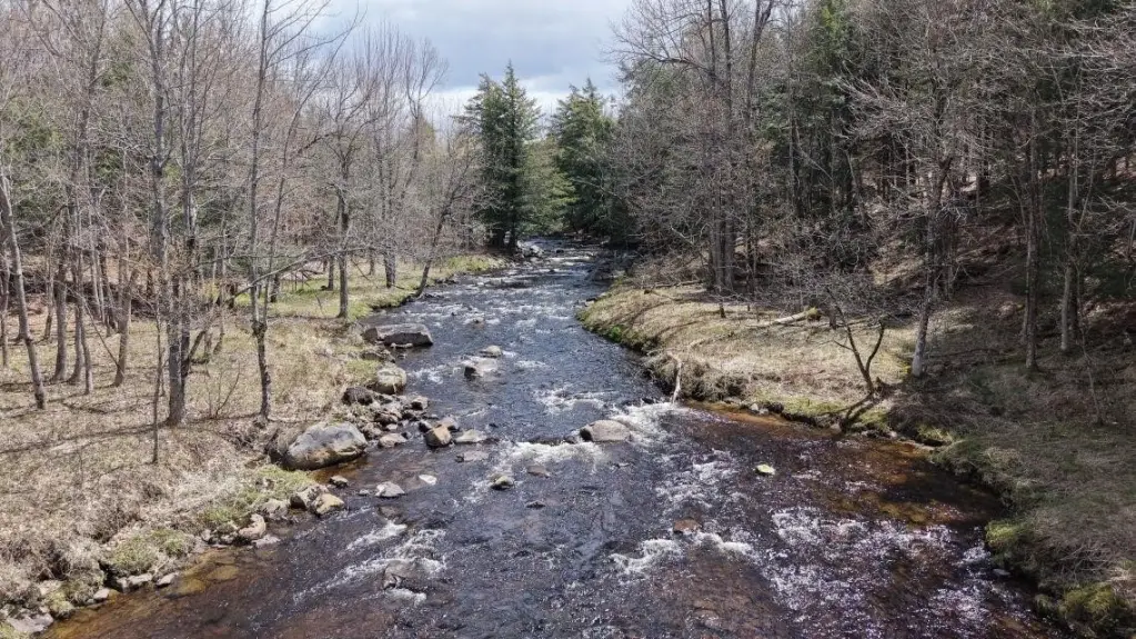 Picture 7