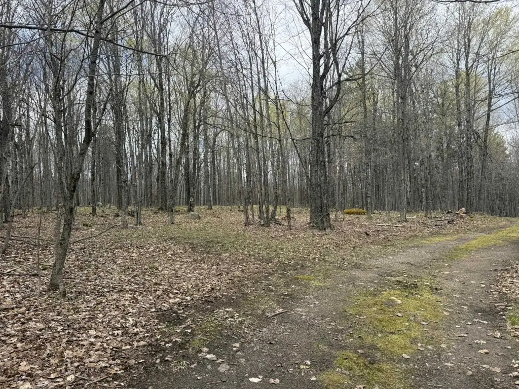 Picture 41