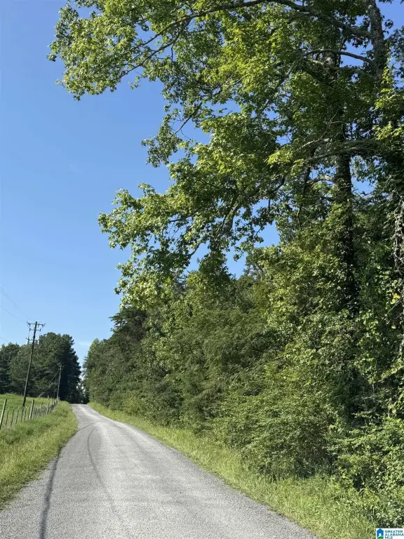 Picture 29