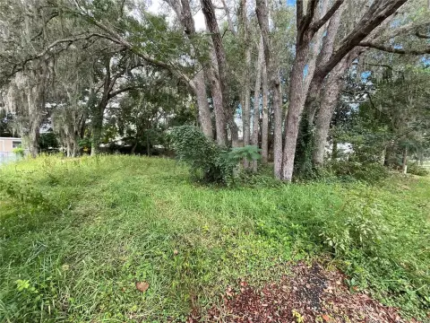 Land in Summerfield, Florida