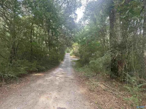 Guntersville Acreage with Hunting Potential