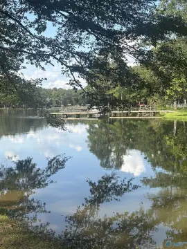 Recreational Lot with Shoreline Access